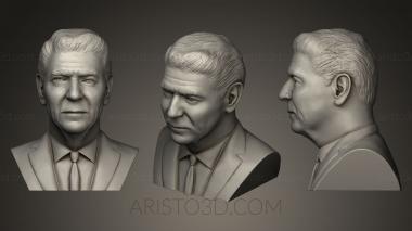 Busts and bas-reliefs of famous people (BUSTC_0535) 3D model for CNC machine